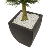 Cypress Topiary with Black Planter UV Resistant (Indoor/Outdoor)-Parc Decor