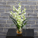 Dancing Lady Orchid Liquid Illusion Silk Flower Arrangement-Parc Decor