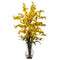 Dancing Lady Orchid w/Vase Arrangement-Parc Decor