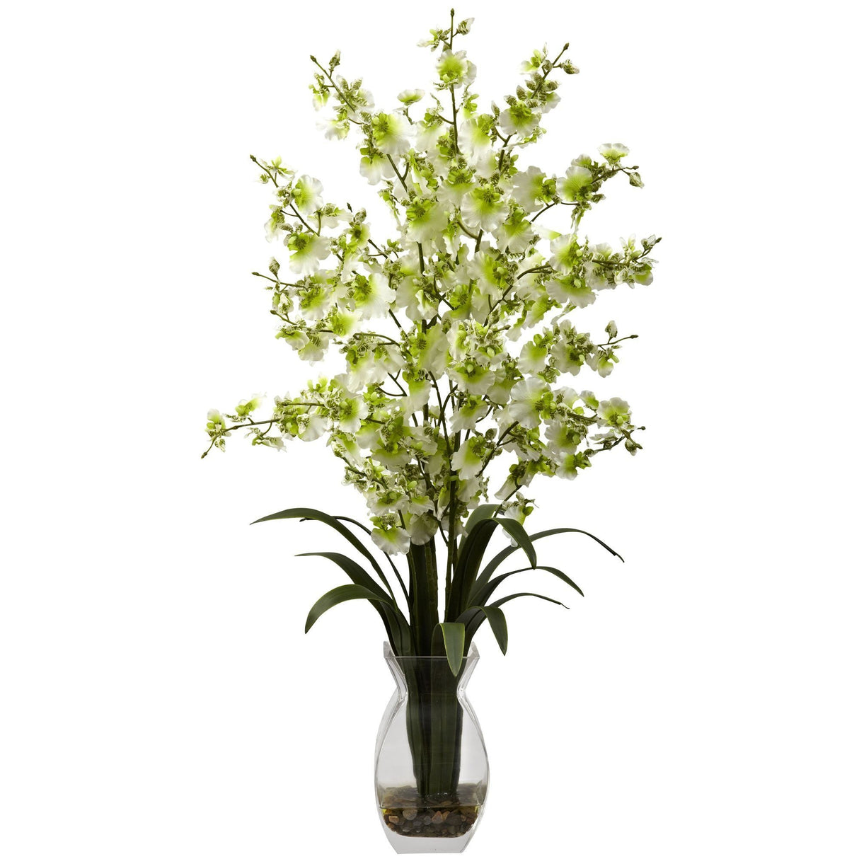 Dancing Lady Orchid w/Vase Arrangement-Parc Decor