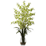 Dancing Lady Orchid w/Vase Arrangement-Parc Decor