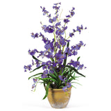 Dancing Lady Silk Orchid Arrangement-Parc Decor