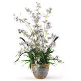 Dancing Lady Silk Orchid Arrangement-Parc Decor