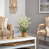 Dancing Lady Silk Orchid Arrangement-Parc Decor