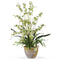 Dancing Lady Silk Orchid Arrangement-Parc Decor