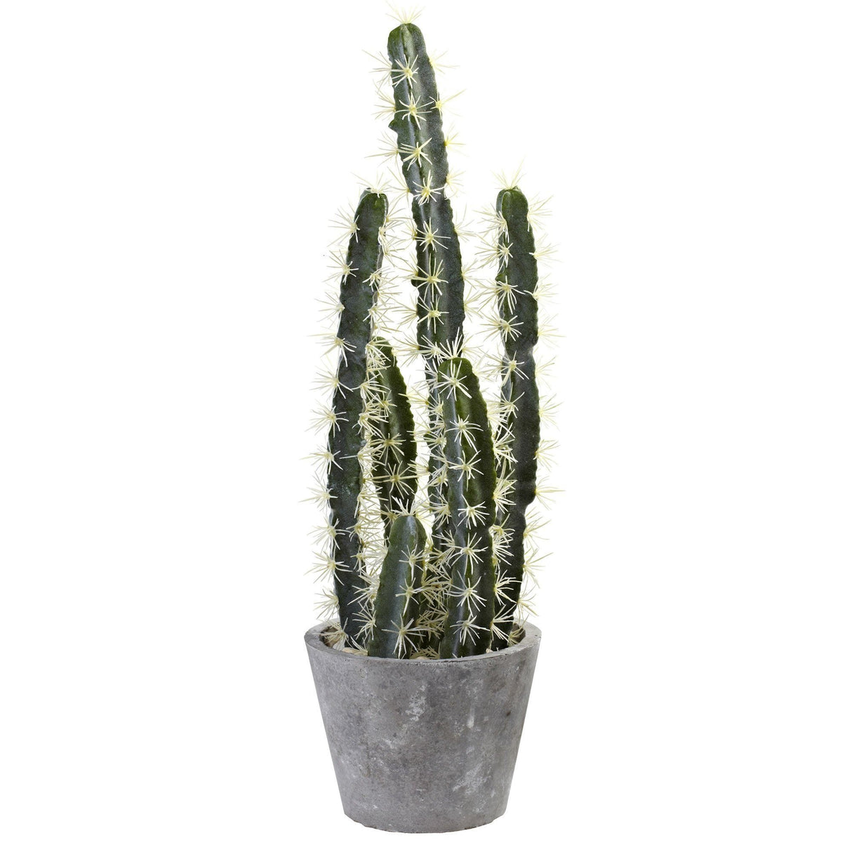 Decorative Cactus Garden w/Cement Planter-Parc Decor