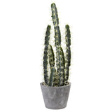 Decorative Cactus Garden w/Cement Planter-Parc Decor