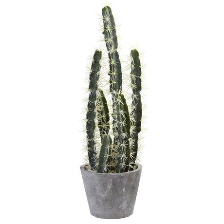 Decorative Cactus Garden w/Cement Planter-Parc Decor