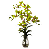 Dendrobium Orchid w/Vase Arrangement-Parc Decor