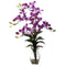 Dendrobium Orchid w/Vase Arrangement-Parc Decor