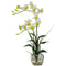 Dendrobium w/Glass Vase Silk Flower Arrangement-Parc Decor