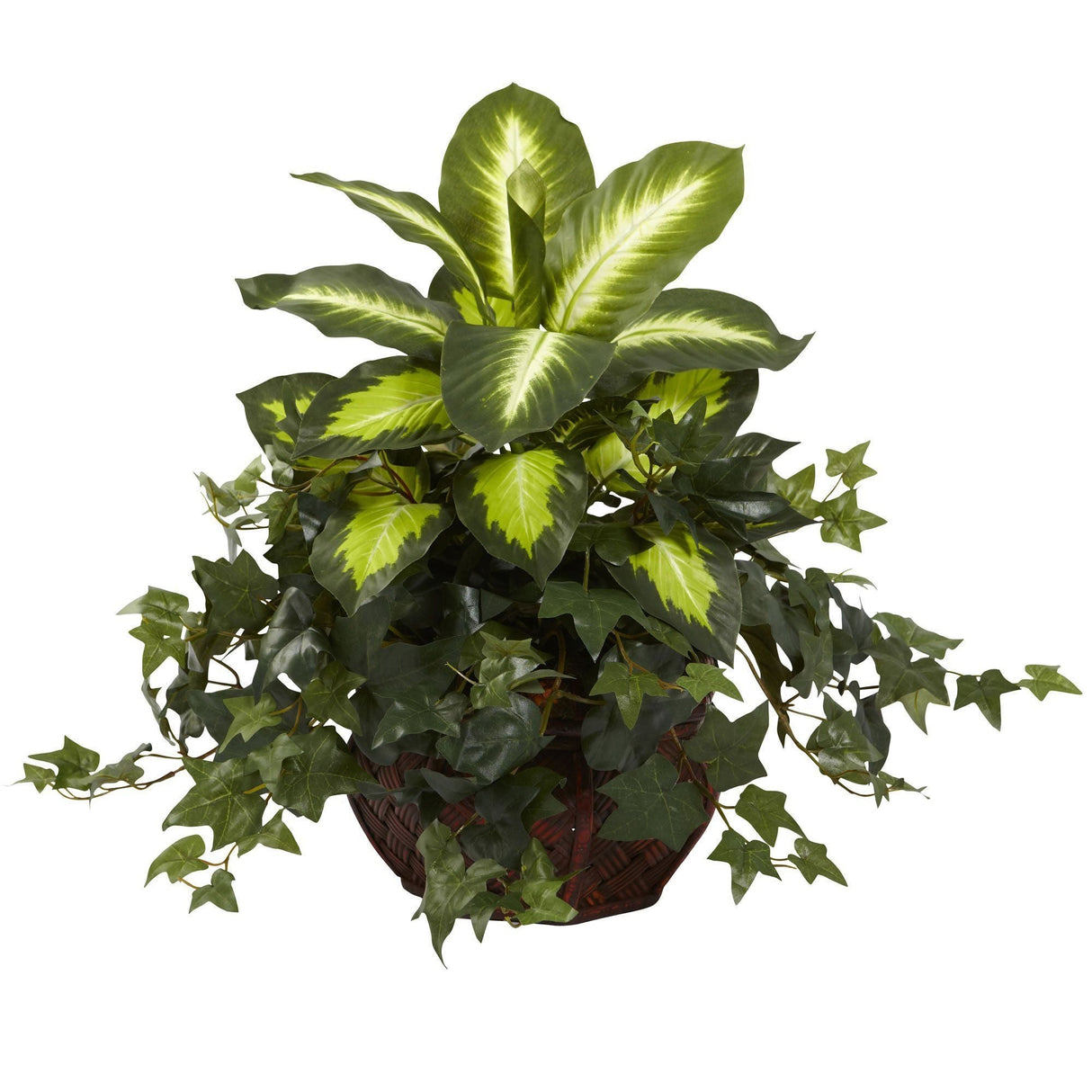 Dieffenbachia & Ivy w/Decorative Planter-Parc Decor