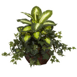 Dieffenbachia & Ivy w/Decorative Planter-Parc Decor