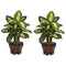 Dieffenbachia w/Wood Vase Silk Plant (Set of 2)-Parc Decor