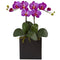 Double Mini Phalaenopsis in Black Vase-Parc Decor