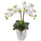 Double Phalaenopsis Orchid in White Vase-Parc Decor