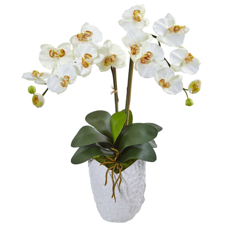 Double Phalaenopsis Orchid in White Vase-Parc Decor