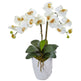 Double Phalaenopsis Orchid in White Vase-Parc Decor