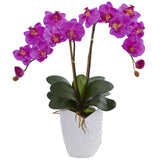 Double Phalaenopsis Orchid in White Vase-Parc Decor