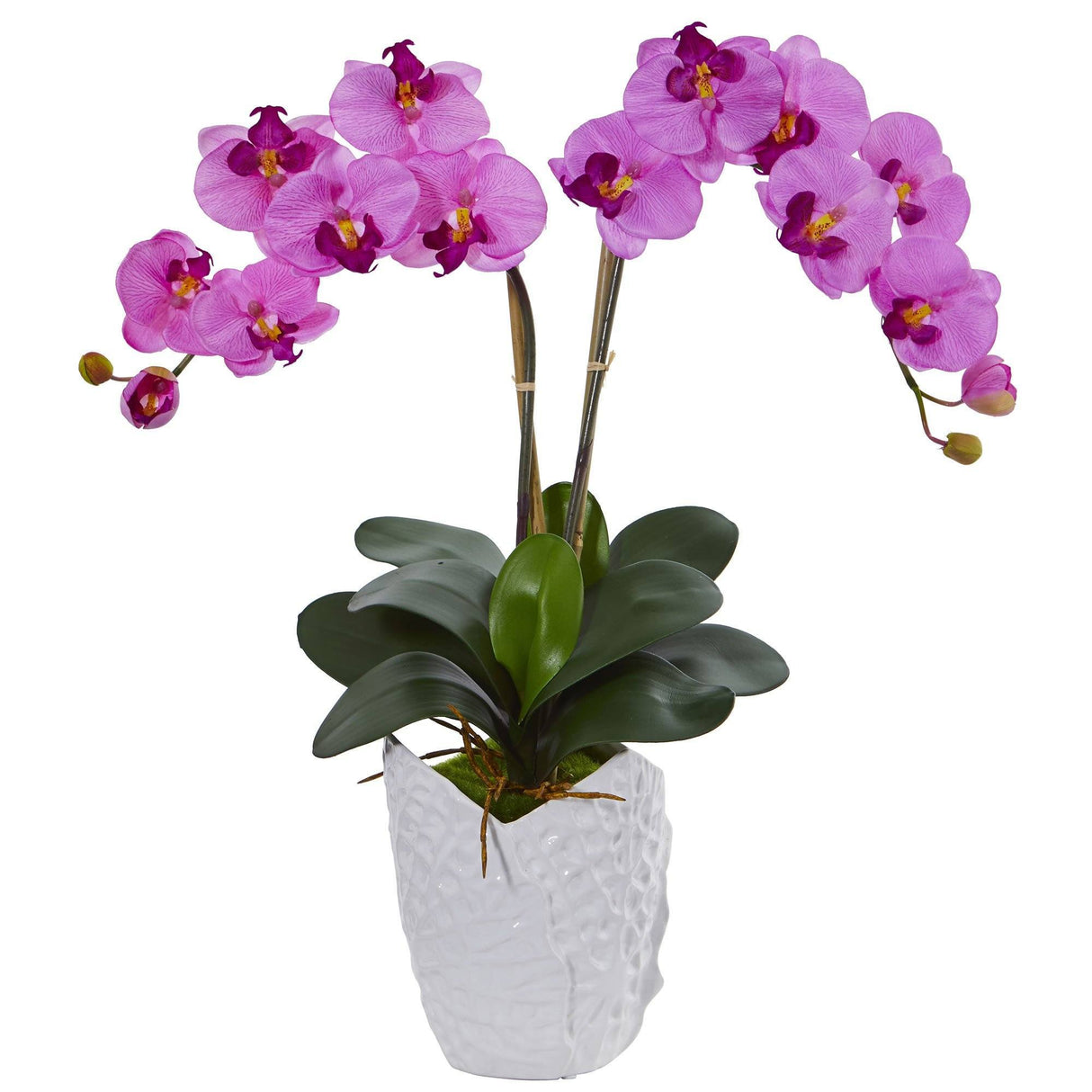Double Phalaenopsis Orchid in White Vase-Parc Decor