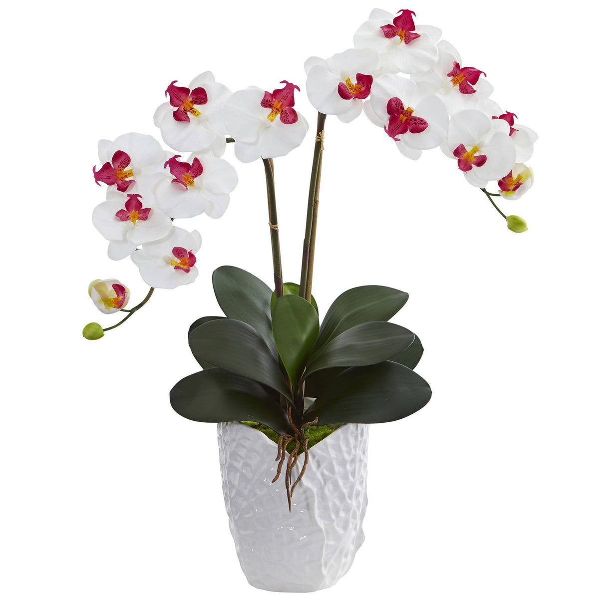 Double Phalaenopsis Orchid in White Vase-Parc Decor