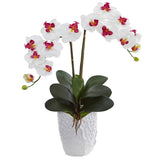 Double Phalaenopsis Orchid in White Vase-Parc Decor