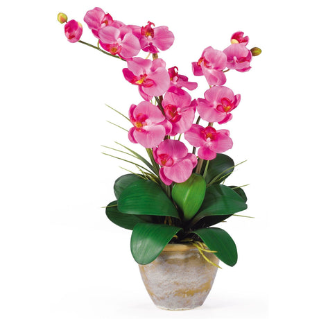 Double Stem Phalaenopsis Silk Orchid Arrangement-Parc Decor
