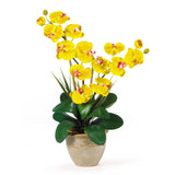 Double Stem Phalaenopsis Silk Orchid Arrangement-Parc Decor
