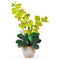 Double Stem Phalaenopsis Silk Orchid Arrangement-Parc Decor