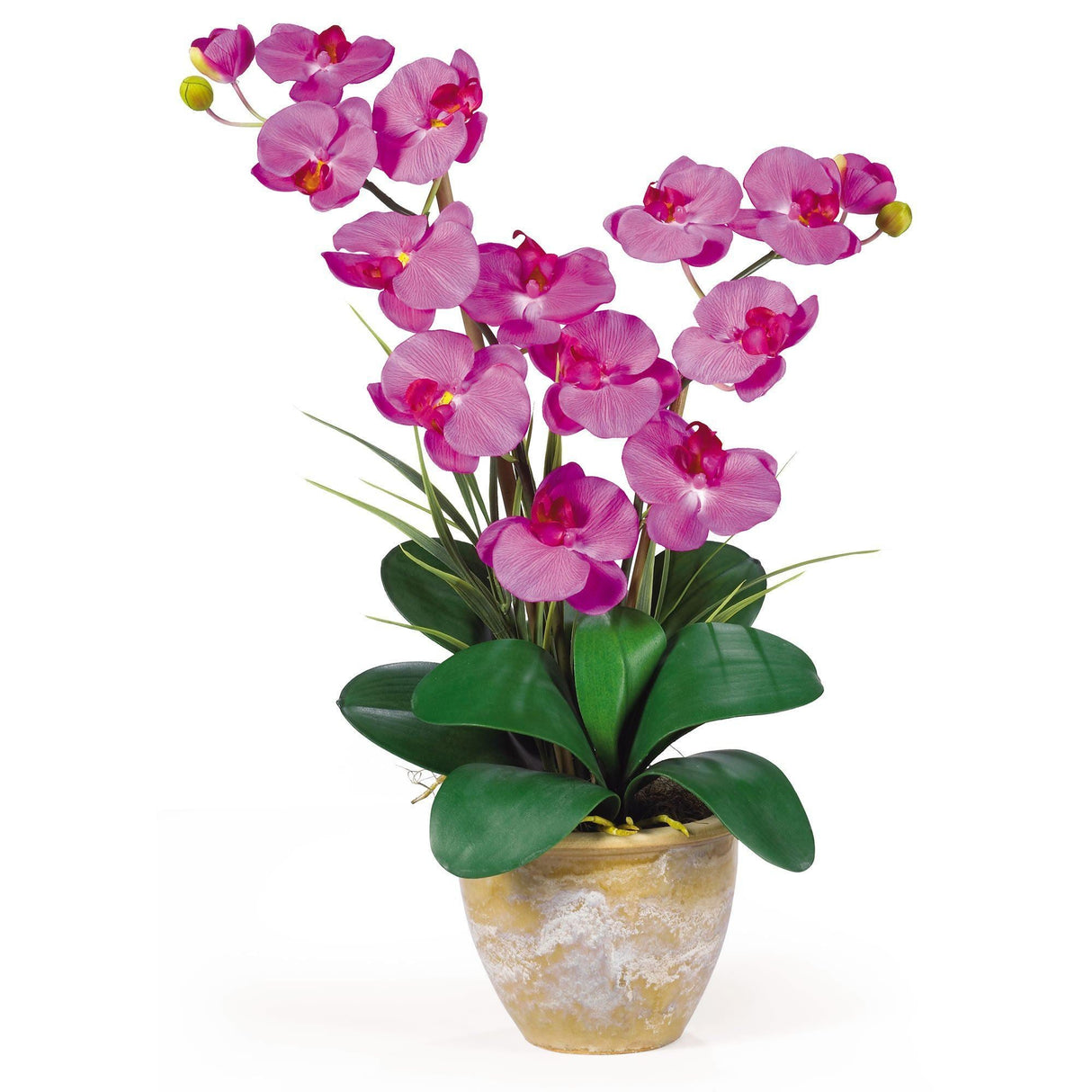 Double Stem Phalaenopsis Silk Orchid Arrangement-Parc Decor