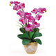 Double Stem Phalaenopsis Silk Orchid Arrangement-Parc Decor
