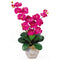 Double Stem Phalaenopsis Silk Orchid Arrangement-Parc Decor