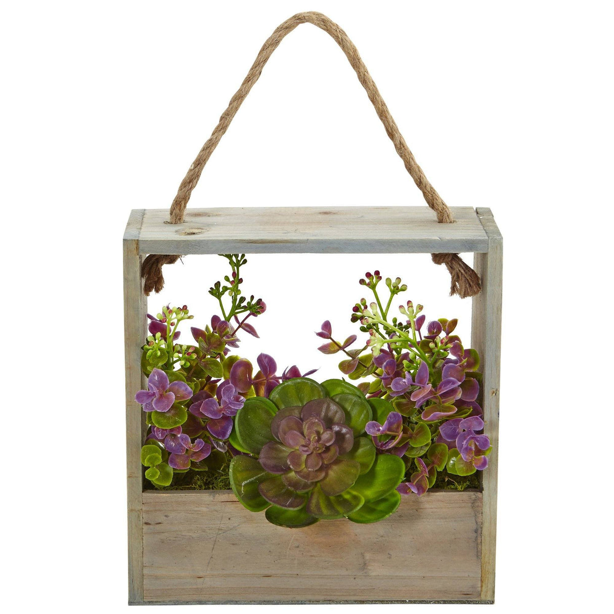 Echeveria Succulent and Eucalyptus Artificial Plant in Hanging Frame-Parc Decor