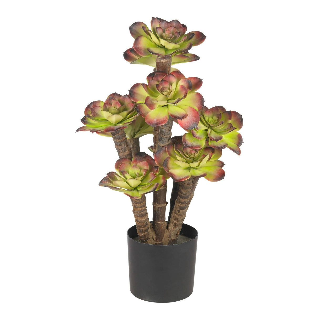Echeveria silk Plant-Parc Decor