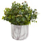 Eucalyptus Artificial Plant in Marble Finished Vase-Parc Decor
