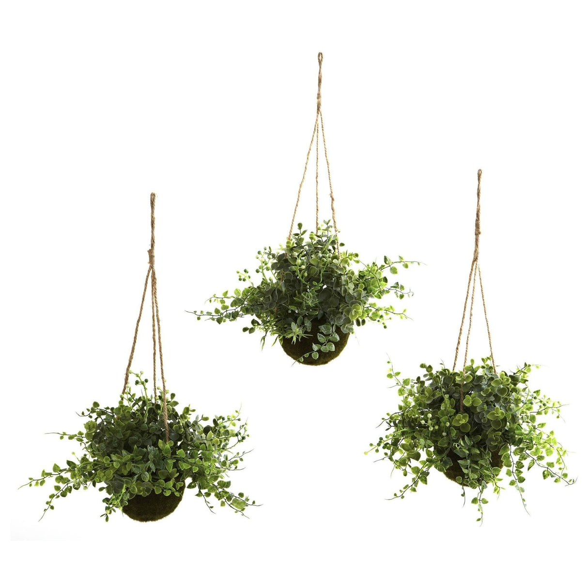 Eucalyptus, Maiden Hair & Berry Hanging Basket (Set of 3)-Parc Decor