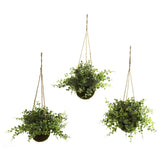 Eucalyptus, Maiden Hair & Berry Hanging Basket (Set of 3)-Parc Decor