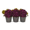 Fall Hydrangea Artificial Arrangement in Metal Planter-Parc Decor