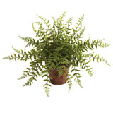 Fern w/Decorative Planter (Set of 2)-Parc Decor