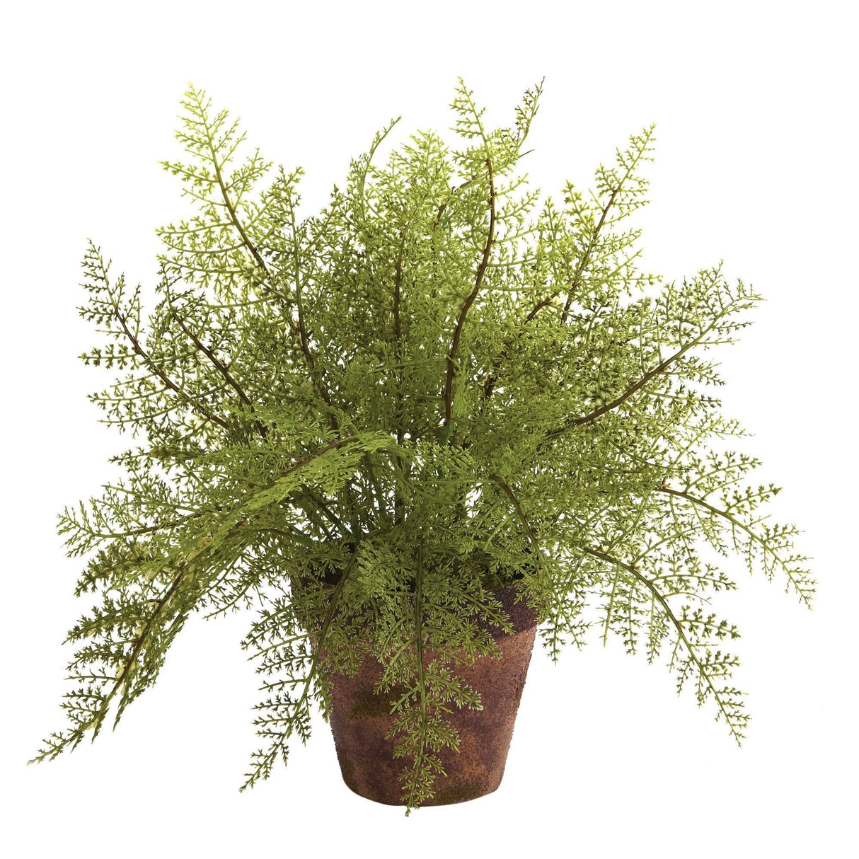 Fern w/Decorative Planter (Set of 2)-Parc Decor