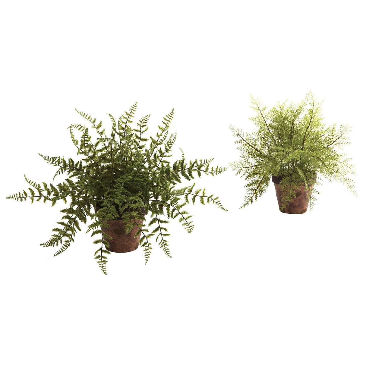 Fern w/Decorative Planter (Set of 2)-Parc Decor
