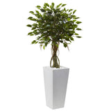 Ficus Tree with White Planter UV Resistant (Indoor/Outdoor)-Parc Decor