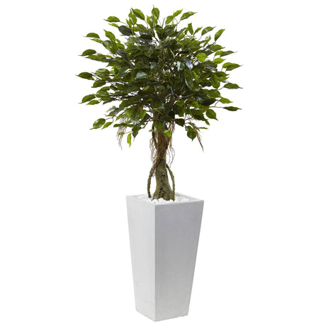 Ficus Tree with White Planter UV Resistant (Indoor/Outdoor)-Parc Decor