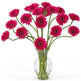 Gerber Daisy Liquid Illusion Silk Flower Arrangement-Parc Decor