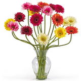 Gerber Daisy Liquid Illusion Silk Flower Arrangement-Parc Decor