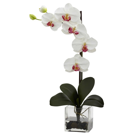 Giant Phal Orchid w/Vase Arrangement-Parc Decor