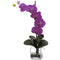 Giant Phal Orchid w/Vase Arrangement-Parc Decor