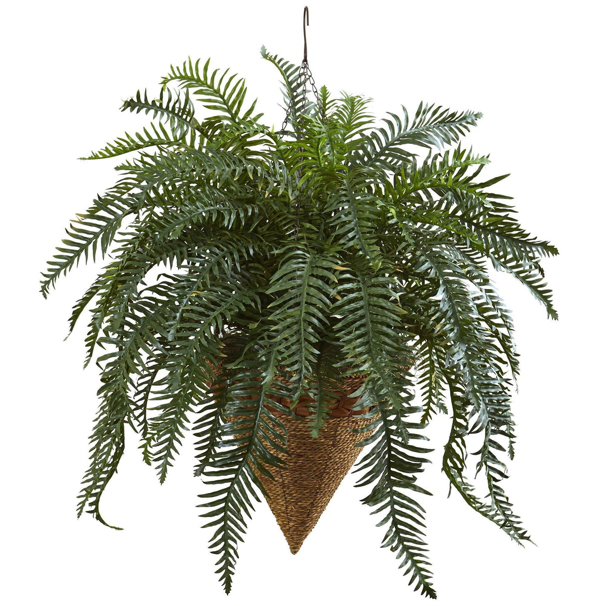 Giant River Fern with Cone Hanging Basket-Parc Decor