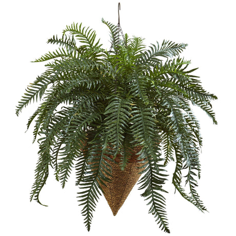 Giant River Fern with Cone Hanging Basket-Parc Decor