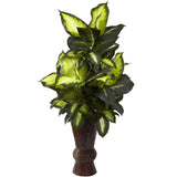 Golden Dieffenbachia w/Bamboo Planter-Parc Decor